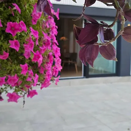 Albayda Garden * Гранада