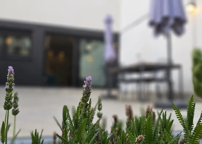 Albayda Garden *