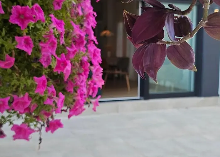 Albayda Garden * גרנדה